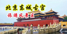 骚货插穴视频中国北京-东城古宫旅游风景区